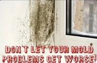 Mold Remediation Pros image 2